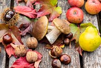 Autumn display of nuts, mushrooms, apples and fallen leaves on wooden surface. 