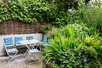 Patio area in Large house in North London with seats and table Geranium 'Rosanne',
 Iris germanica, Muhlenbeckia complexa, Erigeron karvinskianus willow hurdle 
fencing with Vitis vinifera trained over
 