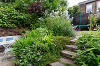 Patio area in Large house in North London with steps made from reclaimed jarra 
railway sleepers Geranium 'Rosanne', Iris germanica, Muhlenbeckia complexa,  
