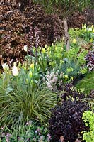 Mixed spring border in show garden - 'The Yardley Flower' Garden, Ascot Spring Garden Show, 2018.
