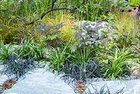 Stone path edged with Ophiopogon planiscapus 'Nigrescens'and Actaea simplex Atropurpurea. 'Elements Mystique', RHS Hampton Flower Show, 2018
