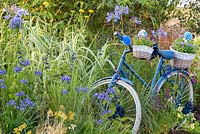 Vintage blue bicycle - RHS Growing Community Garden, RHS Hampton Court Flower Show, 2018.   