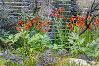 Elements Mystique Garden, Sponsored by Elements Garden Design, RHS Hampton Court Flower Show, 2018.
