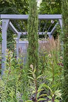 Cupressus sempervirens 'Pyramidalis' surrounded by Eupatorium - Secured by Design, RHS Hampton Court Palace Flower Show 2018