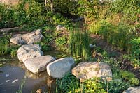 Natural style planting with boulders over a pond with Equisetum fluviatile - Countryfile's 30th Anniversary Garden, RHS Hampton Court Palace Flower Show, 2018.