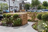 Wide view of contemporary front garden with curved flowerbeds and topiary standards. 