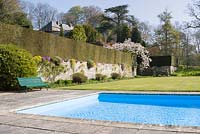 Swimming pool with terrace wall, clipped hedging and formal lawn in background
