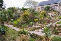 Terraced slopes planted with Phormium, Cordyline and ornamental grasses
