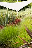 Contemporary planting design for bed of ornamental grasses plus Phormium
with suspended awning beyond
 