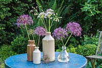 Allium christophii and Allium unifolium displayed in glass and pottery vases. 