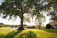 Quercus - Mature oak tree casts shadow across the lawn. The Oast House, Isfield, Sussex, UK. 