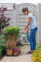 Woman watering plants placed in plastic tray for holiday care. 