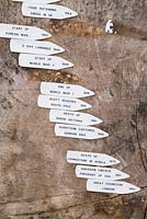 Historical time line marked through the trunk of a felled tree. Painswick Rococo Garden, Painswick, Glos, UK. 