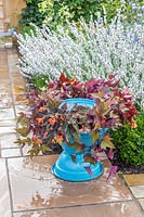 Bird bath with Begonia 'Fireworks' and Ipomoea 