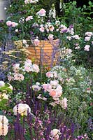 View along border with flowering pink Rosa 'Gentle Hermione' - Best of Both Worlds Garden, Sponsored by BALI, RHS Hampton Court Flower Show, 2018.
