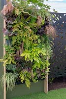 Free standing Living wall, Jungle Fever garden, RHS Tatton park Flower Show, 2018.