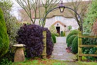 Dark leaved Pittosporum tenuifolium 'Tom Thumb' frames the entrance to the front garden through which a path bordered by clipped Buxus leads to the front door of the thatched cottage. 