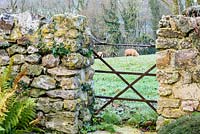 Sheep in an adjoining field framed by stone walls and the bars of a metal gate