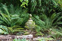 Fernery and bamboo with varieties of Polystichum and Dryopteris.