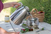 Woman Pouring boiled water over the Echinacea foliage and petals in teapot, 