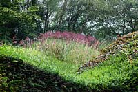 View into the Grasses Parterre with Miscanthus sinensis 'Malepartus' at  Veddw House Garden, Monmouthshire, Wales, UK.