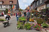 Hanging baskets and bedding plants for sale at street market in Beuvron-en-Auge, Normandy, France