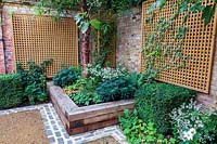 Raised bed planted with shade tolerant perennials and ferns. Garden design by Peter Reader Landscapes.