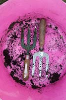 Secateurs and garden forks in bottom of pink garden trug.