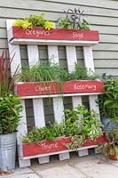Upcycled herb pallet planter, with names of herbs