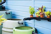 Saving water with gutters as a shelves for vegetables, herbs and keeping rain 
barrels in the garden 
RHS Grow Your Own with The Raymond Blanc Gardening School, 
RHS Hampton Court Palace Flower Show 2018