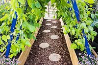 Path made from sliced logs between raised beds with runner beans. RHS Grow Your Own with The Raymond Blanc Gardening School, RHS Hampton Court Palace Flower Show, 2018. 