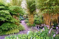 Phyllostachys aureosulcata f. spectabilis underplanted with Hakonechloa macra 'Aureola' surrounded by the bright new leaves of acers and pink flowers of Persicaria bistorta 'Superba' at the Barn House, Glos in May