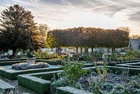 Sun rising over pleached Limes in the walled garden, with frosted box hedging and spiral topiary in terracotta containers. 