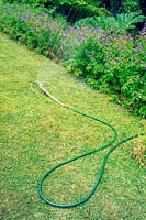 Watering lawn with sprinkler device and hose