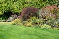 Shrub border with   Euonymus, Berberis, Cornus sibirica 'Variegata' , perennials and bulbs -Thundridge Hill House Garden, Hertfordshire, UK