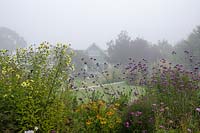 Misty view of house through Helianthus 'Carine', Verbena bonariensis AGM, Helenium 'Waltraut' AGM and Aster novae-angliae 'Rosa Sieger' AGM