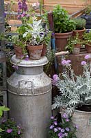 Greenhouse with accessories including milk churns and potted plants. 