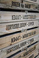 Stack of wooden tulip crates