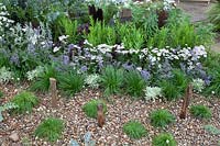 Mixed planting in gravel border. Southend Council 'By The Sea' garden at RHS Hampton Court Flower Show, London, 2017.
