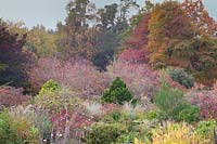 Dramatic autumn colours in garden. Gravetye Manor, Sussex, UK.