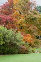 Trees and shrubs showing dramatic autumn colour overlooking formal lawn. Gravetye Manor, Sussex, UK. 
