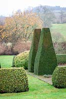 Clipped yew pillars and box hedging in the parterre at Pettifers. Taxus baccata, Buxus sempervirens