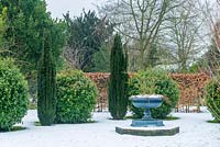 Cast iron urn surrounded by Taxus baccata 'Fastigiata', clipped Viburnum tinus balls and Fagus - beech hedge in snowy garden. 