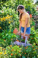 Girl with a trug of harvested vegetables in colourful garden. 