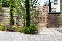 Contemporary house with circular stone sett paving beside planted bed with 
Betula utilis jacquemontii - Himalayan birch - multi-stemmed tree and pencil 
Cupressus. Planting against a backdrop of cedar battened trellis fence.