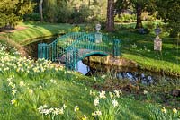 Arched foot-bridge with painted metal railing over a stream edged with grassy banks planted with daffodils 
