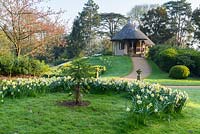 View across lawn planted with daffodils and shrubs towards mound with path up to thatched Swiss cottage
