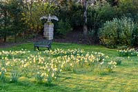 View across lawn with daffodils towards sculpture of eagle on plinth in a shrub
 border 