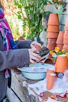 Woman washing dirty terracotta pots with wooden scrubbing brush in bowl of soapy water.