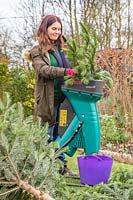 Woman shredding branches from christmas tree.